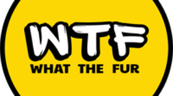 Targeted canine nutrition supplements to support your dog’s gut health, anxiety, skin and coat.