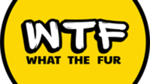 Targeted canine nutrition supplements to support your dog’s gut health, anxiety, skin and coat.