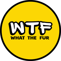 Targeted canine nutrition supplements to support your dog’s gut health, anxiety, skin and coat.